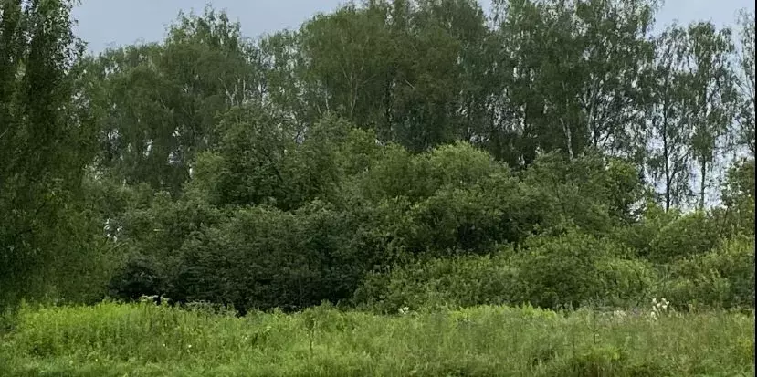 Участок в Московская область, Клин городской округ, д. Трехденево  ... - Фото 2