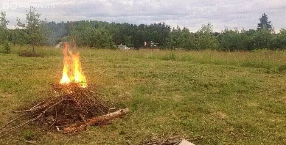Участок в Толмачёвское городское поселение, деревня Табор, улица ... - Фото 1