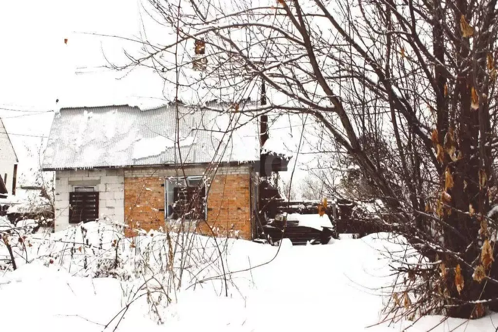 Дом в Новосибирская область, Новосибирск Сибирь СНТ, 10 (44 м) - Фото 1