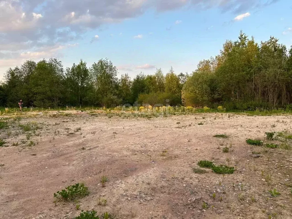 Участок в Ленинградская область, Тосненский район, Ульяновское ... - Фото 0