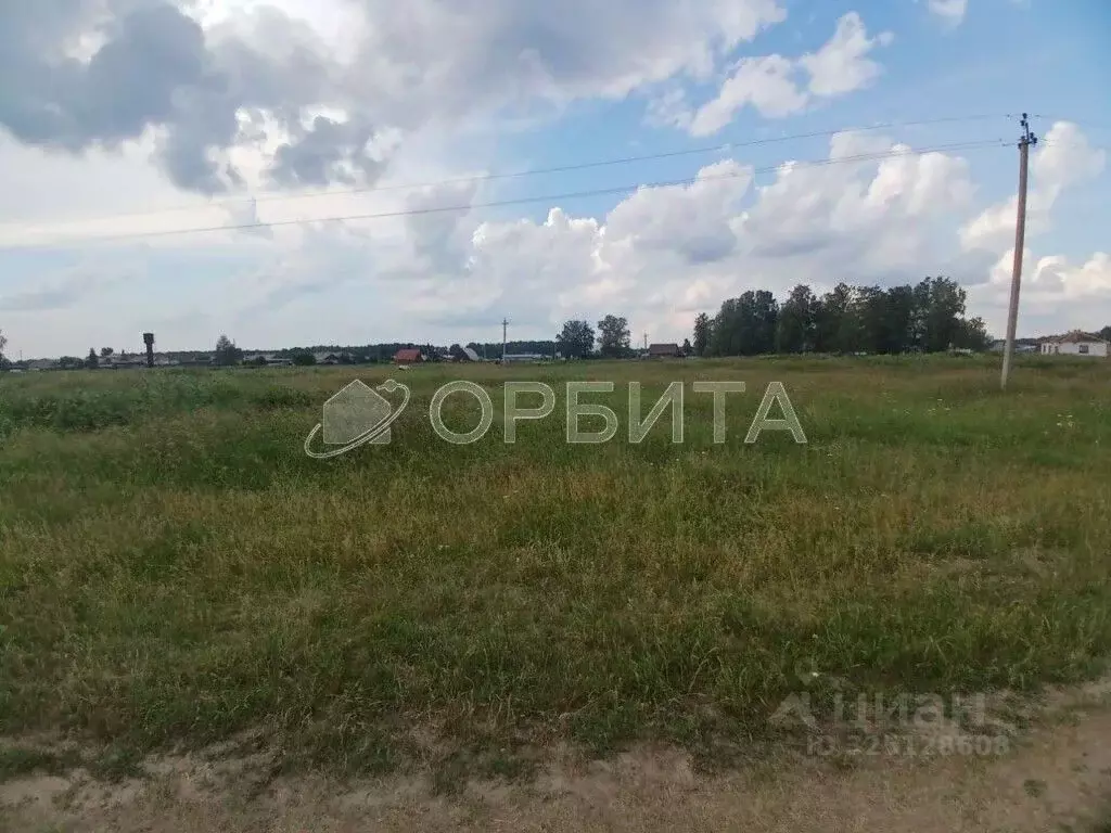 Участок в Свердловская область, Тугулымский муниципальный округ, с. ... - Фото 2