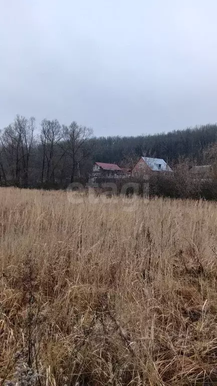 Участок в Мордовия, Рузаевский район, пос. Левженский  (11.0 сот.) - Фото 2