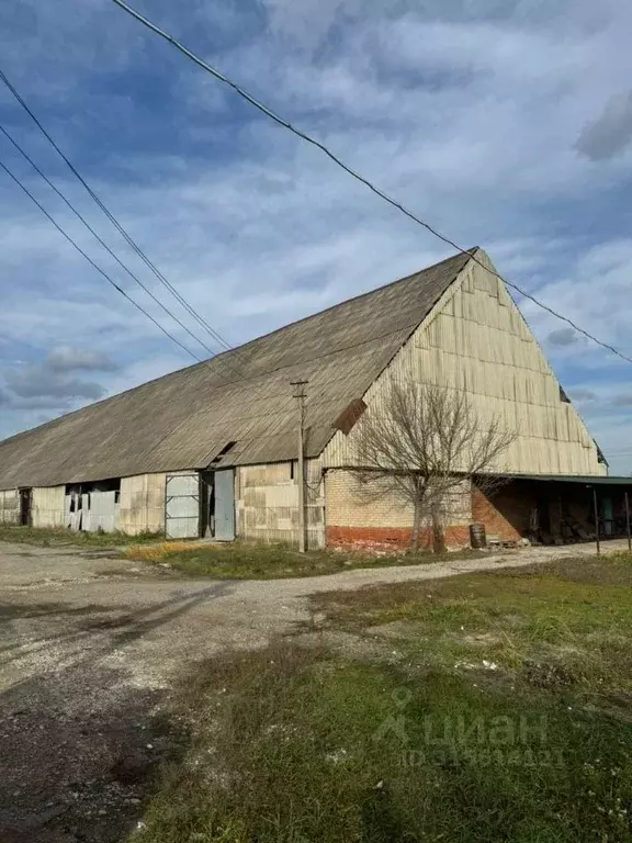 Помещение свободного назначения в Краснодарский край, Абинский район, ... - Фото 0