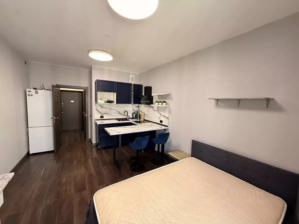 Студия Санкт-Петербург Фарфоровская ул., 7к1 (24.5 м) - Фото 2