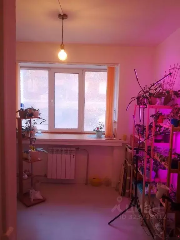 Комната Иркутская область, Иркутск Депутатская ул., 48 (16.9 м) - Фото 1