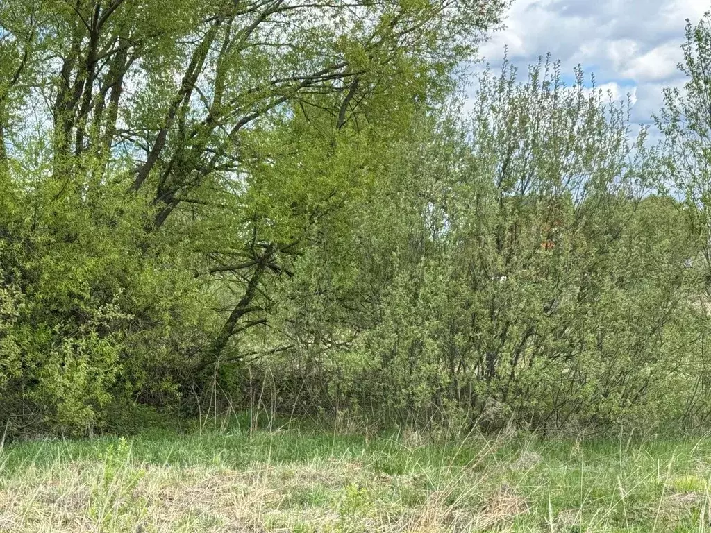 Участок в Московская область, Богородский городской округ, д. Старые ... - Фото 0