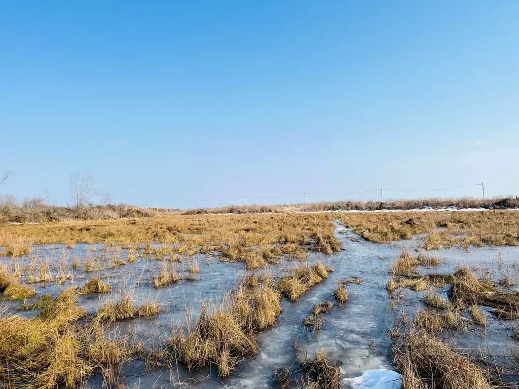 Участок в Новгородская область, Новгородский район, Ракомское с/пос, ... - Фото 2