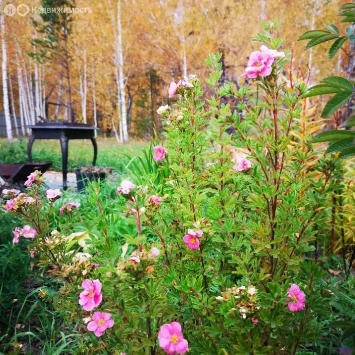 Участок в Бердск, Тенистая улица (24 м) - Фото 1