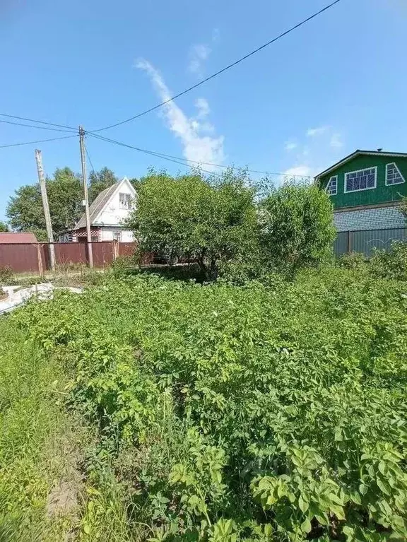 Участок в Брянская область, Брянск Железнодородник СНТ, ул. Заречная ... - Фото 1