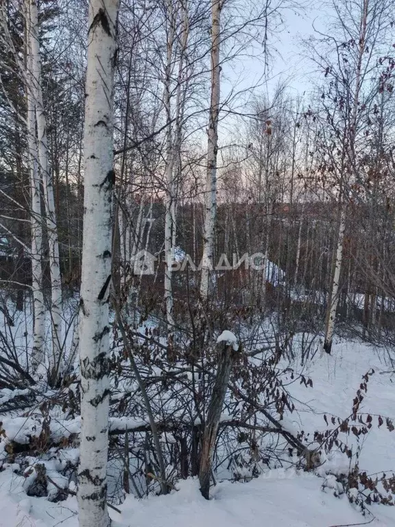 Участок в Иркутская область, Иркутский муниципальный округ, ... - Фото 1