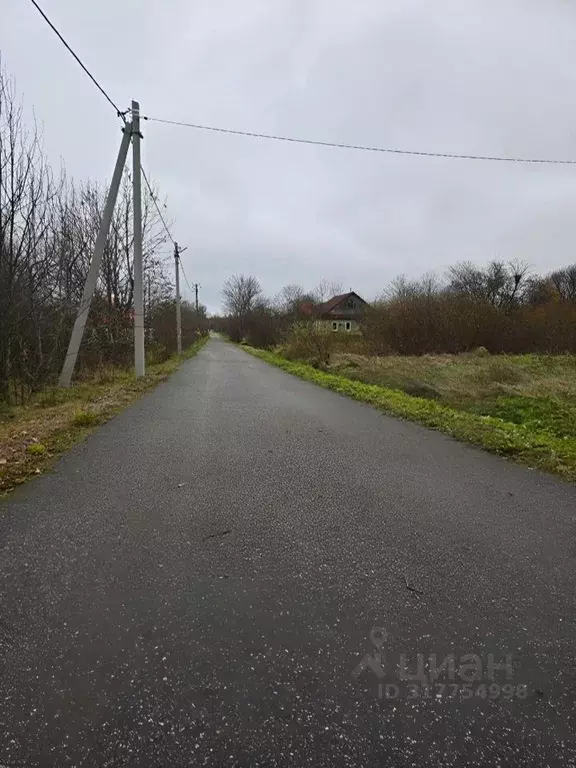 Участок в Ленинградская область, Кингисеппский район, Вистинское ... - Фото 1