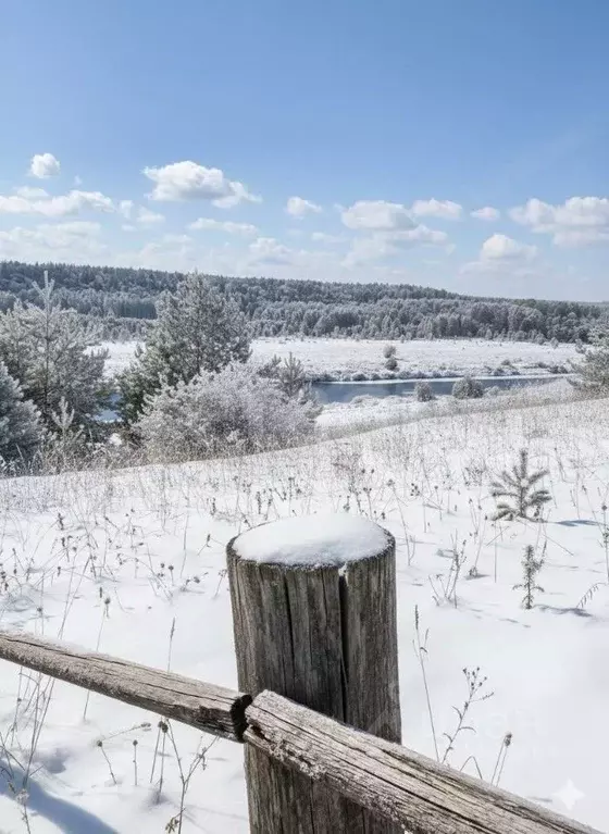 Участок в Калужская область, Дзержинский муниципальный округ, Угорское ... - Фото 1