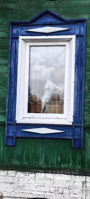 Дом в Владимирская область, Муром пос. Фабрики имени П.Л. Войкова, 38 ... - Фото 1