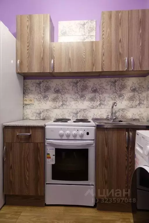 1-к кв. Новосибирская область, Новосибирск Красный просп., 94/2 (32.0 ... - Фото 2