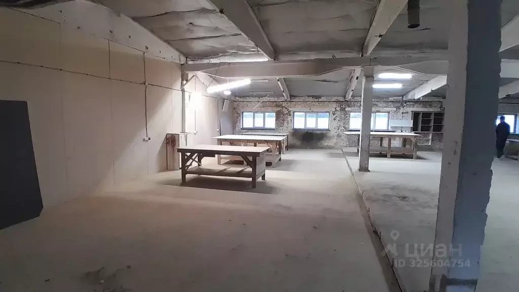 Помещение свободного назначения в Воронежская область, Семилуки ул. ... - Фото 1