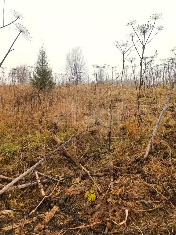 Участок в Выльгорт, Дальняя улица (8.67 м) - Фото 2