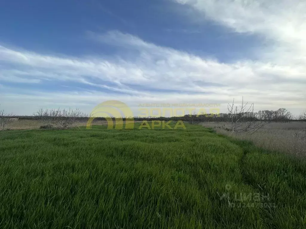 Участок в Краснодарский край, Темрюкский район, Фонталовское с/пос, ... - Фото 2