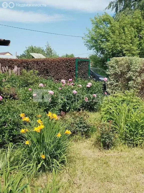 Участок в Новосибирск, СНТ Пенсионер (6.7 м) - Фото 1