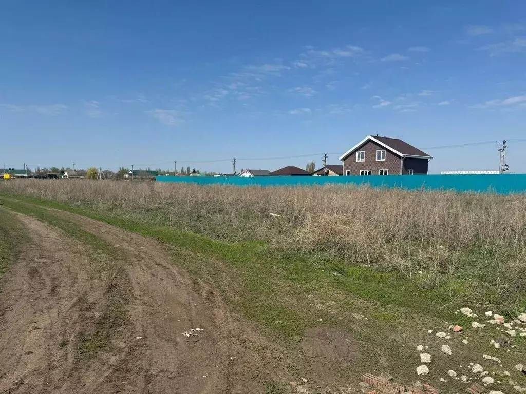 Участок в Саратовская область, Энгельсский район, Новопушкинское ... - Фото 1