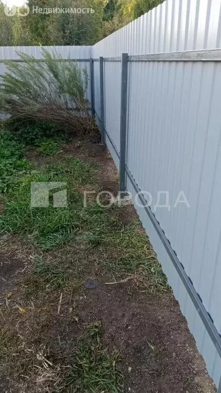 Участок в Новосибирская область, Коченёвский муниципальный район, СНТ ... - Фото 1