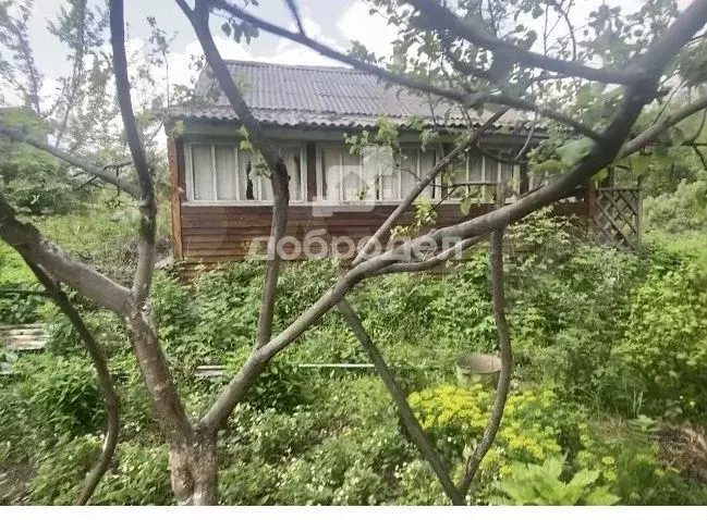 Участок 3,83 га (СНТ, ДНП) - Фото 1