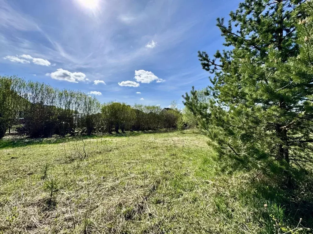 Участок в Московская область, Мытищи городской округ, д. Шолохово ул. ... - Фото 2
