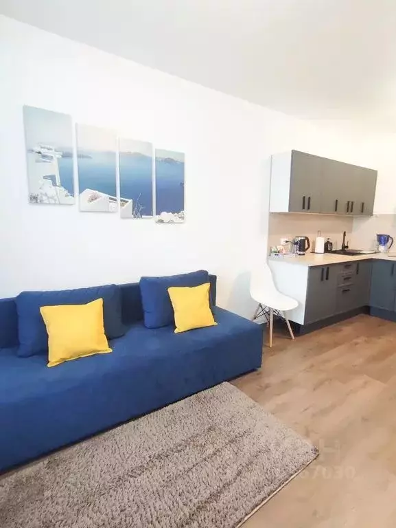 1-к кв. Санкт-Петербург ул. Пейзажная, 30 (36.0 м) - Фото 1