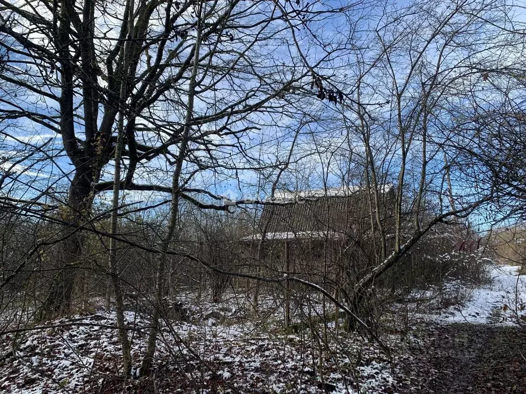 Участок в Адыгея, Майкоп Звездочка СНТ, ул. Обильная (5.04 сот.) - Фото 2