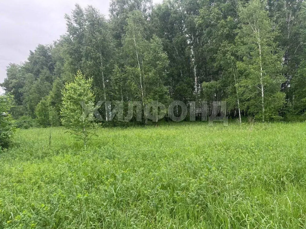Участок в Новосибирская область, Новосибирский район, Криводановский ... - Фото 2