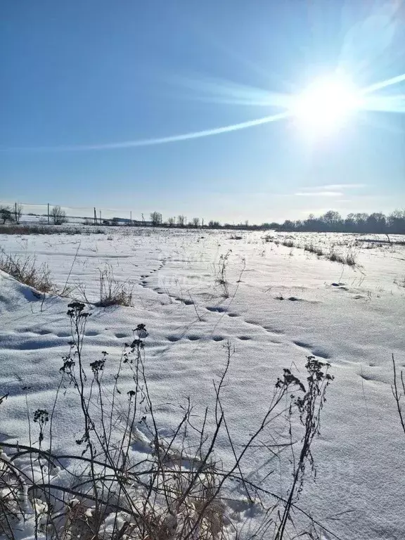 Участок в Курская область, Курский район, Полянский сельсовет, с. ... - Фото 2