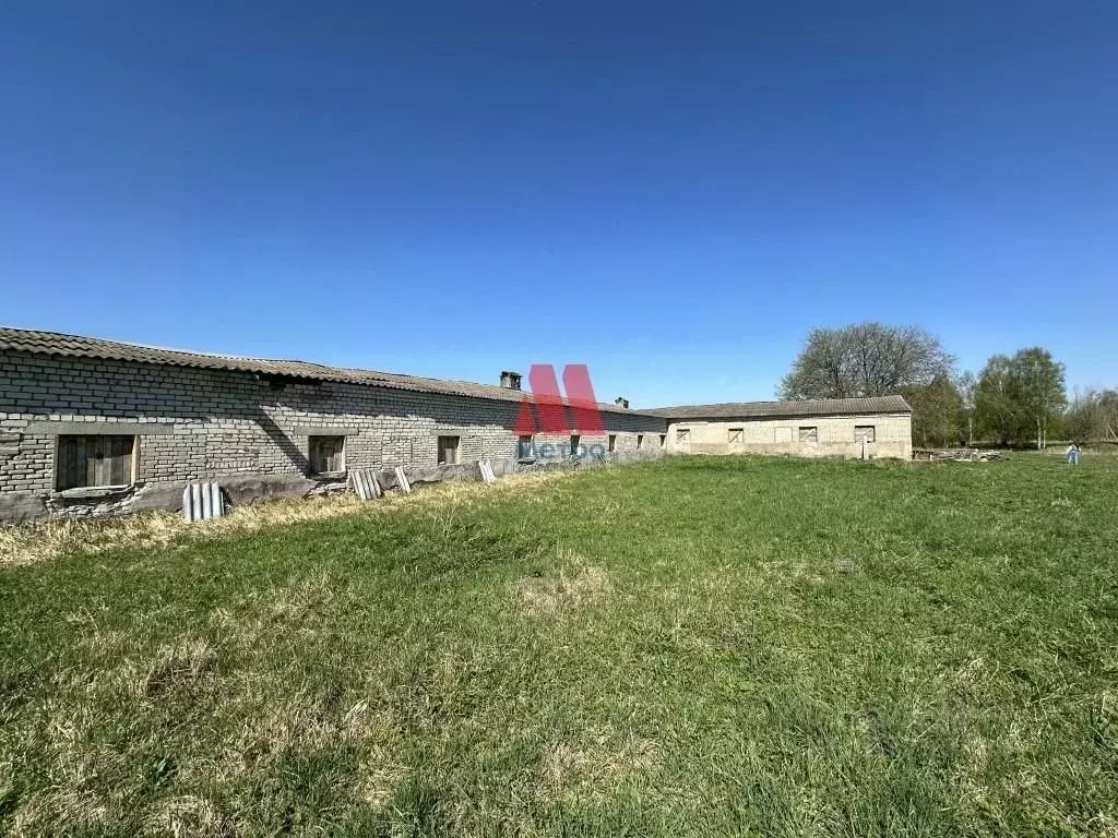 Помещение свободного назначения в Ярославская область, Ярославский ... - Фото 1