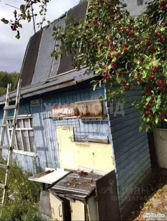 Участок в Новосибирская область, Новосибирский район, Верх-Тулинский ... - Фото 1