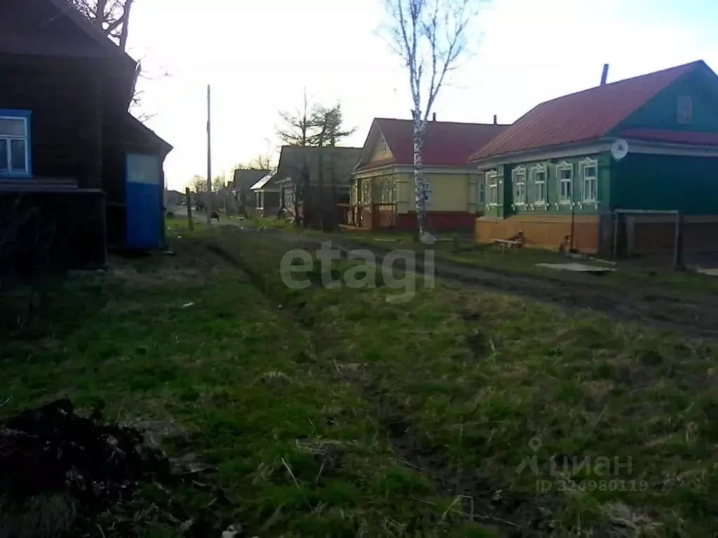 Участок в Нижегородская область, Чкаловск муниципальный округ, д. ... - Фото 1