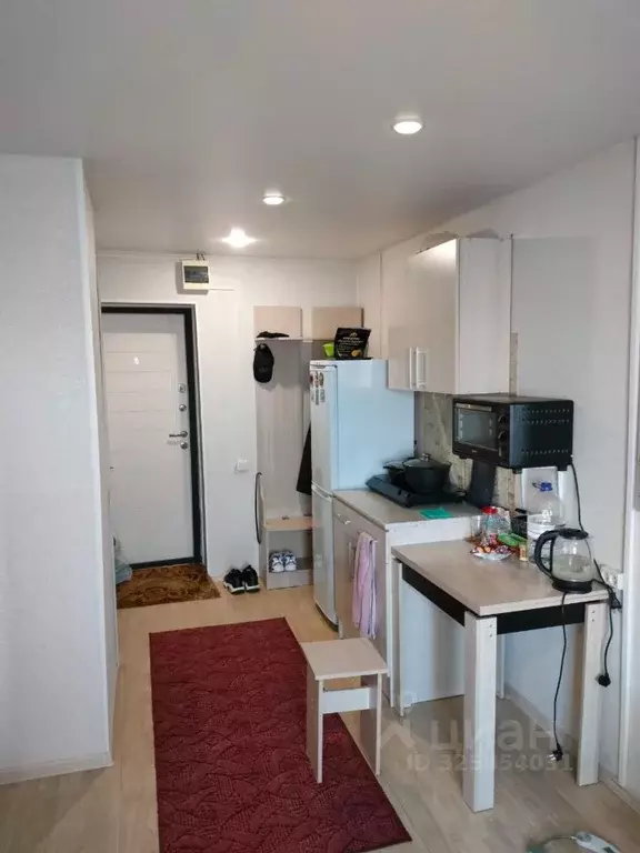 Студия Алтайский край, Барнаул ул. Чудненко, 95 (19.0 м) - Фото 1