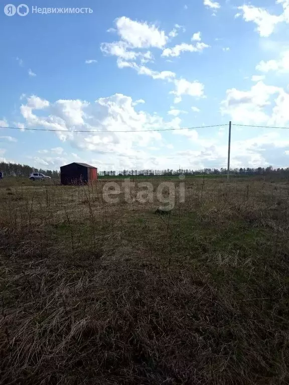 Участок в Лямбирский район, Берсеневское сельское поселение, село ... - Фото 1