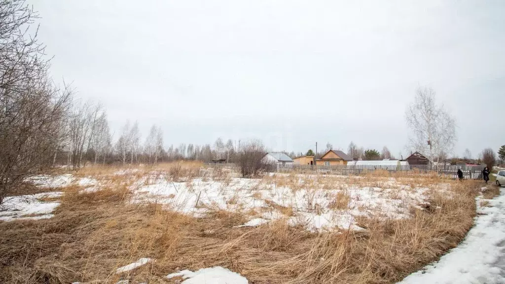 Участок в Томская область, Томск пос. Светлый, Калинка садовое ... - Фото 1