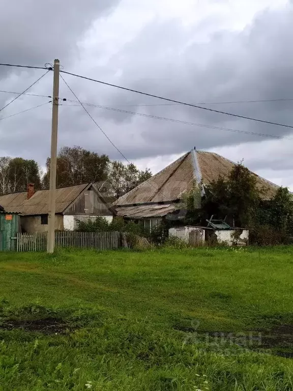 Дом в Кемеровская область, Крапивинский пгт ул. Островского (58 м) - Фото 1