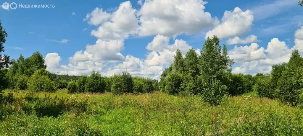 Участок в сельское поселение Совхоз Чкаловский, деревня Якшуново (15 ... - Фото 0