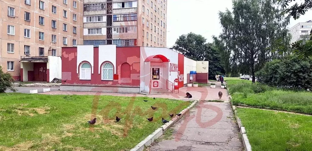 Торговая площадь в Орловская область, Орел ул. Достоевского, 6 (105 м) - Фото 1
