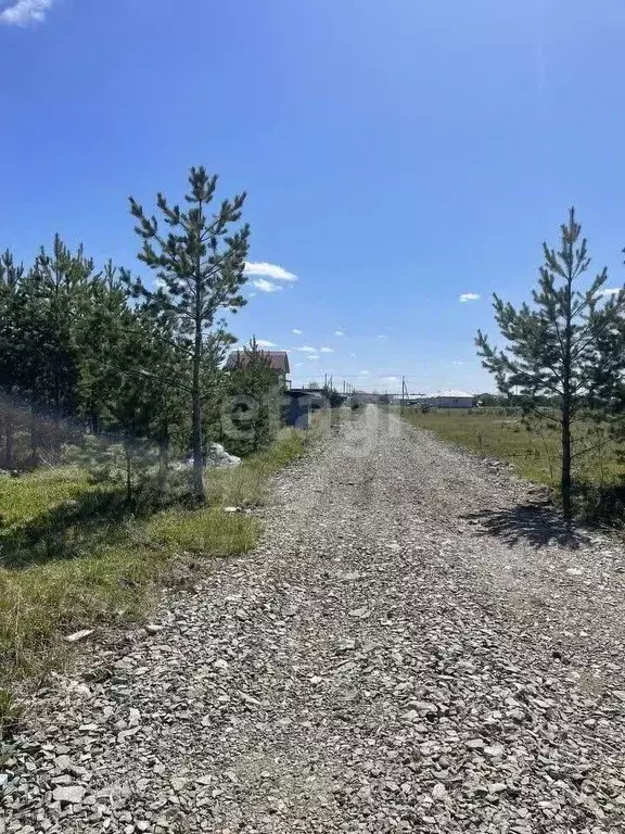 Участок в Свердловская область, Екатеринбург Аэродром ДНП, ул. Перуна ... - Фото 1