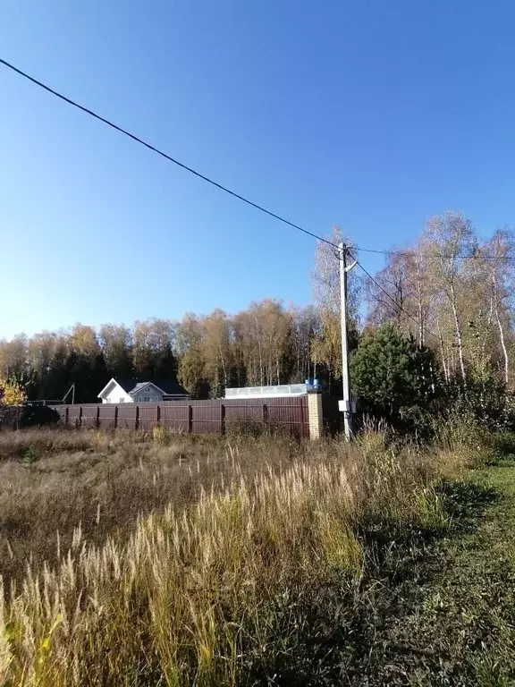 Участок в Владимирская область, Петушинское муниципальное образование, ... - Фото 1