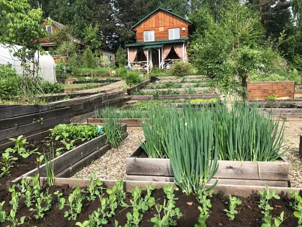 Дом в Красноярский край, Емельяновский район, Мининский сельсовет, ... - Фото 2