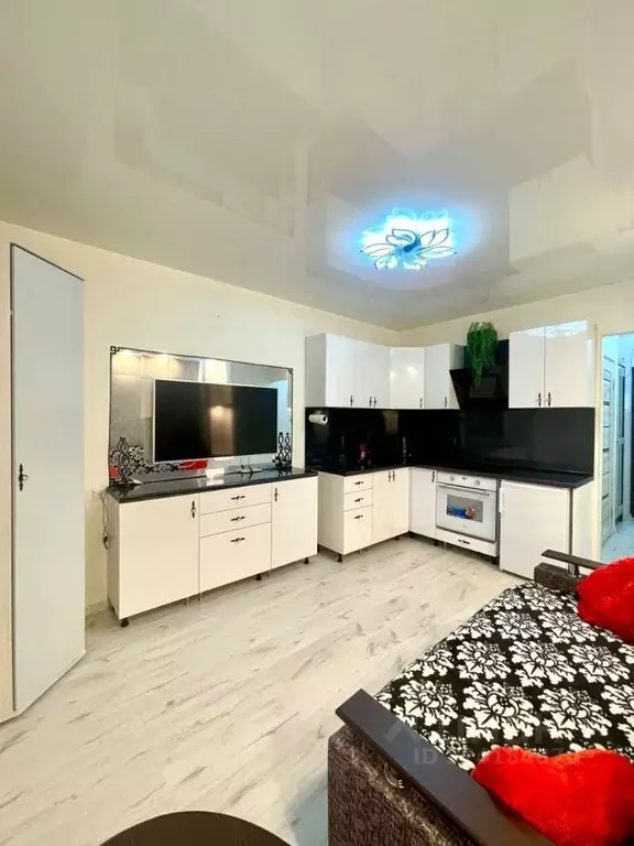 Студия Ленинградская область, Мурино Всеволожский район, ул. Графская, ... - Фото 1