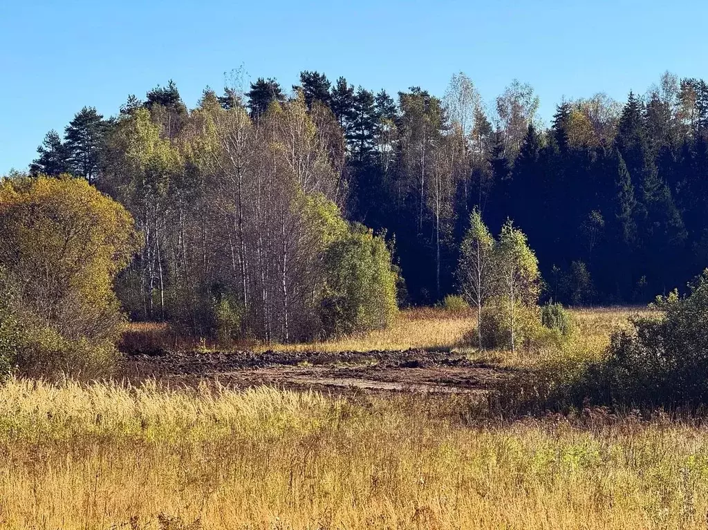 Участок в Московская область, Дмитровский муниципальный округ, Ерыково ... - Фото 1