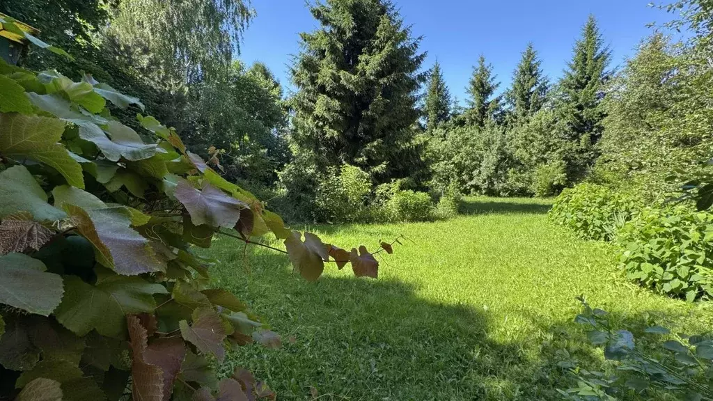 Участок в Московская область, Одинцовский городской округ, д. ... - Фото 1