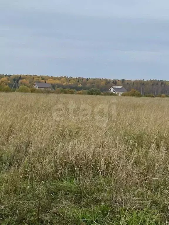 Участок в Ленинградская область, Ломоносовский район, Оржицкое с/пос, ... - Фото 0