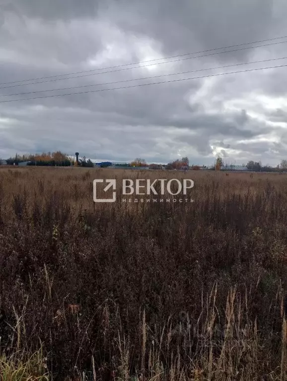 Участок в Костромская область, Костромской район, Шунгенское с/пос, д. ... - Фото 1