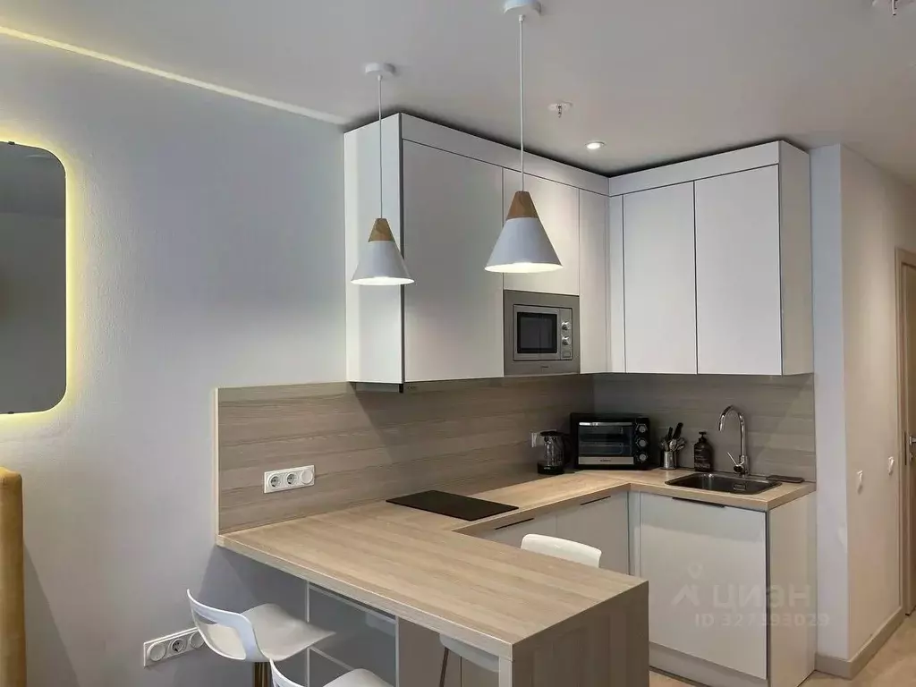 Студия Санкт-Петербург Социалистическая ул., 21 (30.0 м) - Фото 2