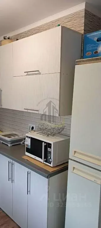 1-к кв. Белгородская область, Губкин Новая ул., 1А (28.0 м) - Фото 2