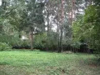 Участок 12сот. (ИЖС) - Фото 0